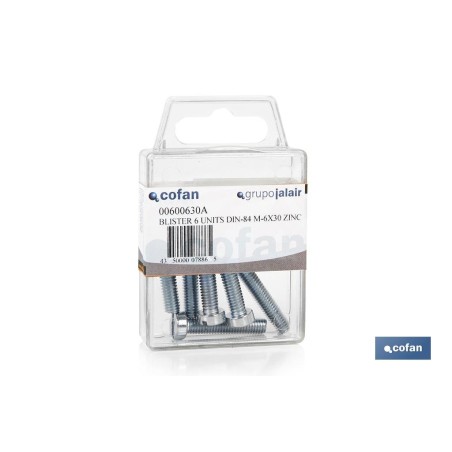 BL 25 UDS. DIN-84 M-3X20 Z