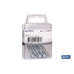 BL 5 UDS. DIN-571  M-6X60